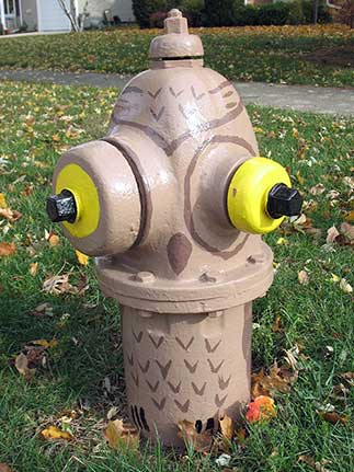 Owl -Harvard and Washington